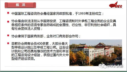 監(jiān)理企業(yè)發(fā)展全過程工程咨詢業(yè)務(wù)的關(guān)鍵技術(shù)探討