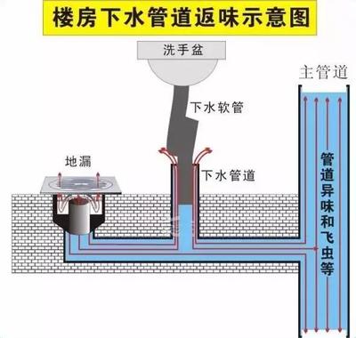告別廚衛臭味？先從讀懂地漏開始！
